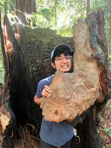 Jay Jayaraman posing with a large hollowed-out tree trunk